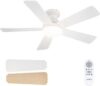 addlon Ceiling Fans with Lights, 42...