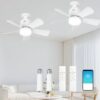 2 Pack of Ceiling Fan with Light So...