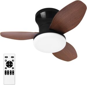 Small Ceiling Fan with Lights and R...