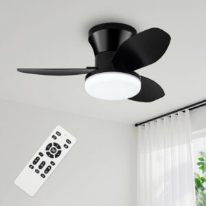 Small Ceiling Fan, 26 Inch Black Fl...