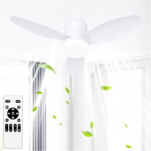 25 Inch Ceiling Fan with Light Smal...