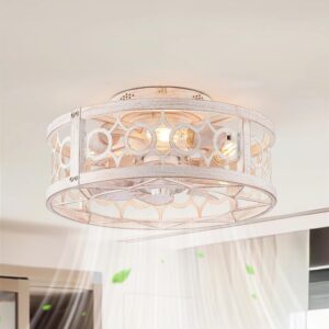 LEDIARY Caged Ceiling Fan with Ligh...