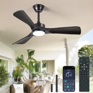 Black Ceiling Fan with Light: 42-In...