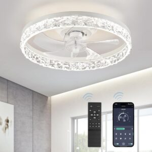 LEDIARY 20″ Modern Ceiling Fa...