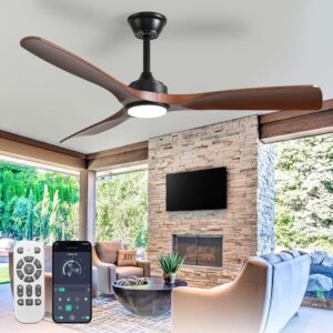 52-Inch Ceiling Fan with Light: Wal...