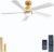 52 inch Wihte Ceiling Fan with Lights and Remote Control,Dimmable 3 Color temperatures LED,6 Speed Reversible DC Motor,5 Blades Modern Ceiling Fan for Indoor or Covered Outdoor